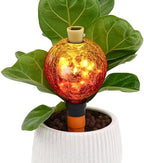 SAVENNA Crackle Glass Plant Watering Globe with Terracotta Spike,Self-Watering Irrigation for Potted Plants, with Solar Accent Light for Indoor & Outdoor Décor, 17oz, Gold–Red Gradient by SAVENNA