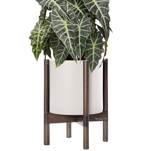 D'vine Dev Plastic Pot with Walnut Wood Stand, Oatmeal, 10 in, 55-C-L-4 by DvineDevPlanterPotsandStand