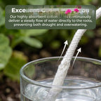 Zerodeko 2pcs Self-Watering Cotton Rope for Indoor Plants and Potted Plants, Polyester Cotton Material, Consistent Moisture Without Electricity, for Hydroponic and Home Use - Image 3