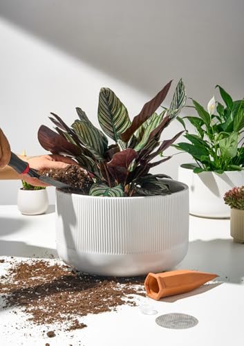 Ceramic Planters, 10- and 12-Inch Large Indoor/Outdoor Plant Pots with Drainage Holes and Watering Spikes, White, Set of 2 - Image 4