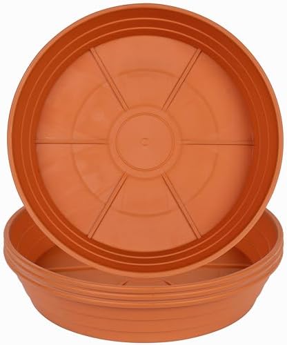 LWALRS Plant Saucer 14 Inch 4 Pack 6 8 10 12 14 16 18 20 25, Plastic Plant Trays for Pots，Extra-Deep Plant Water Dray Tray, Bird Bath Bowl, Heavy Flower Plant Saucers Indoors and Outdoor No Holes by MARYJANESPALACE