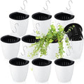 Yungyan 10 Sets 5" Self Watering Hanging Planter White Lazy Flower Pots Plastic Wall Propagation Window Wall Mount Planter with Hooks and Absorbent Cotton Ropes for Indoor Succulent Plants by Yungyan