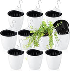 Yungyan 10 Sets 5" Self Watering Hanging Planter White Lazy Flower Pots Plastic Wall Propagation Window Wall Mount Planter with Hooks and Absorbent Cotton Ropes for Indoor Succulent Plants by Yungyan