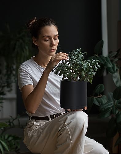 D'vine Dev 2-Pack Black Plastic Planters with Saucers, 6.5 in, 74-Y-L-1 - Image 3