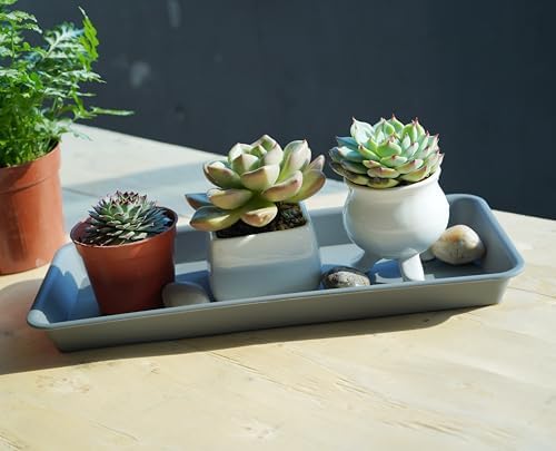 VUWEZ 2 Pack of Plastic Plant Tray Saucer Rectangular 30 inch, Planter Trays Saucers for Indoors Outdoor, Plant Water Drip Tray for Flower Pot Planter, Windowsill Pots Trays (8 X 30'', Gray) - Image 7