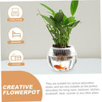 BESTonZON Hydroponic Glass Vase Set 20pcs Round Globe Glass Flower Container Decorative Planter Pots for Indoor Plant Propagation and Home Table Centerpiece - Image 5