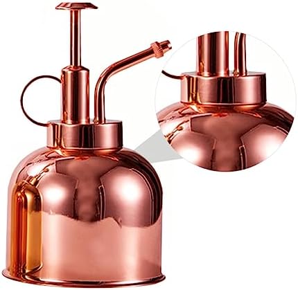 Steel Vintage Spout Bottle Watering Stainless with Long 300ml, Succulent - Image 3