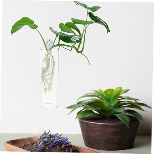 Toyvian 8pcs Glass Wall Hanging Vases for Flowers Minimalistic Hydroponic Plant Holders for Home Decor for Bouquets and Cuttings Elegant Design - Image 5