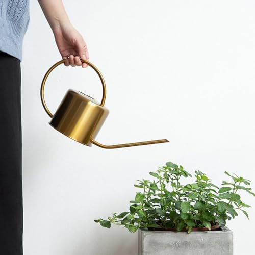Watering Can Stainless Steel with Long Spout and Handle 1300ml - Image 4