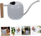 Levemolo Garden Watering Kettles Long Spout Water Sprinkler Metal Watering Can for Indoor Plants - Image 3