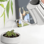 Asixxsix 1L Stainless Steel Watering Can with Long Spout, Indoor Watering Can Metal Stainless Steel Pot with Wood Handle for Succulent Bonsai Garden Flower (Sanding 1L) - Image 5