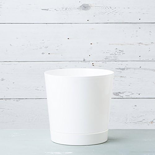 Root & Vessel Majestic Full Depth Cylinder Pot, Glossy White, 14-Inch (10142) - Image 4