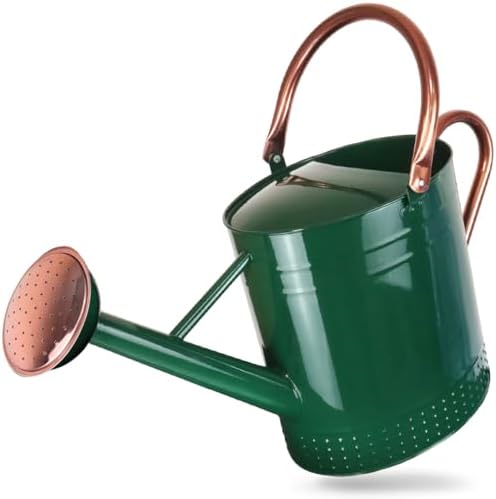 2 Gallon Meltal Garden Watering Can Removable Spout, Galvanized Steel Large Water Can with Embossed Design for Outdoor Indoor Plants (Green, 2 Gallon) by Megawodar