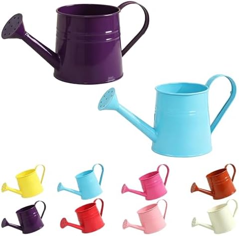 Watering Can Metal, Indoor Plant Watering Can with Long Spout (A2PCS) by Unknown