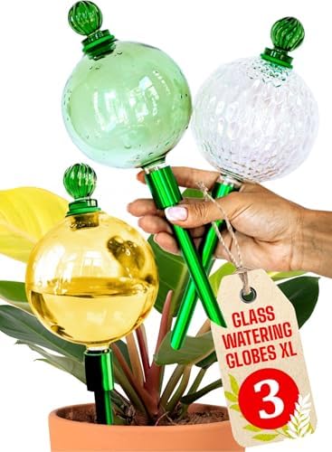 16 Oz 3 pcs Plant Watering Globes for Indoor Plants with Metal Self Watering Planter Insert - Premium XL Glass Hand-Blown Globes - Automatic Plant Waterer Indoor [Golden, Green & Crystal] by GARDENBRO