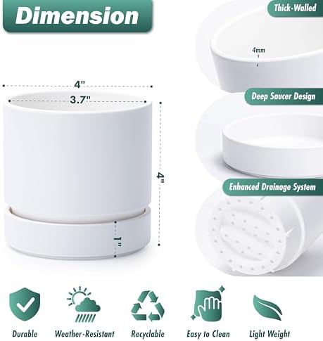 Phoenix Vine 4 Inch Planter Pot with Drainage Hole & Saucer, Deep Water Catch Tray, Straight Cylindrical Round Pot for Plants, Matte White, Pack of 6, 23-B-R-6 - Image 2