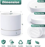 Phoenix Vine 4 Inch Planter Pot with Drainage Hole & Saucer, Deep Water Catch Tray, Straight Cylindrical Round Pot for Plants, Matte White, Pack of 4, 23-B-R-4 - Image 2
