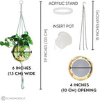 SCANDINORDICA Disco Ball Planter, Value Package, 6-inch Gold - Image 3