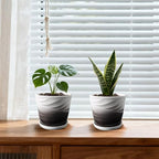 Ceramic Plant Pots, 6 Inch, Set of 2 - Image 4