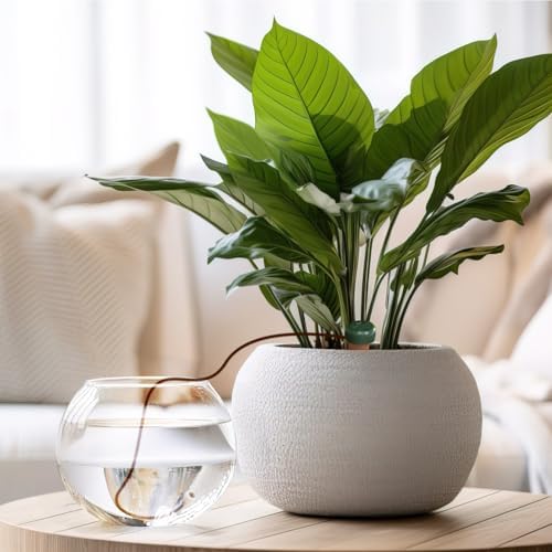 Blumat Classic Self-Watering Stakes - Prevents Overwatering and Underwatering for Healthy Growth While You are Away - Ideal for Indoor Plant Watering, 14 Pack, w/o Adapter - Image 5