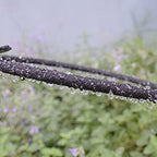 1pcs 10m/20m/40m Soaker Hose Micro Drip Irrigation 4/9mm Leaking Tube Anti-Aging Permeable Pipe, for Garden Flower Tree Watering Hose (Size : 10 m) - Image 2
