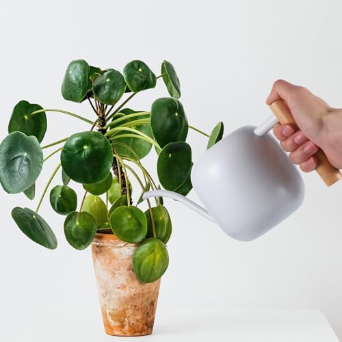 Capacity Metal Watering Can with Ergonomic Wooden Handle and Long Spout for Indoor and Outdoor Plants Stainless Steel Watering Pot for Flowers and Houseplants - Image 6