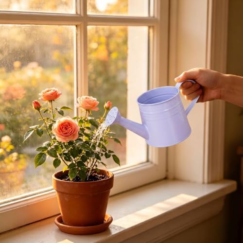1L Retro Metal Painted Watering Can with Long Spout & Handle - Image 5