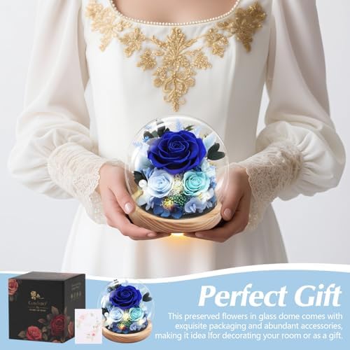 Casaido Preserved Roses Flowers for Delivery, Mothers Day Rose Gifts for Her, Blue Forever Flores in Glass Dome for Women Mom Wife Girlfriend, Anniversary Birthday Rose for Vanlentines Day Christmas - Image 2