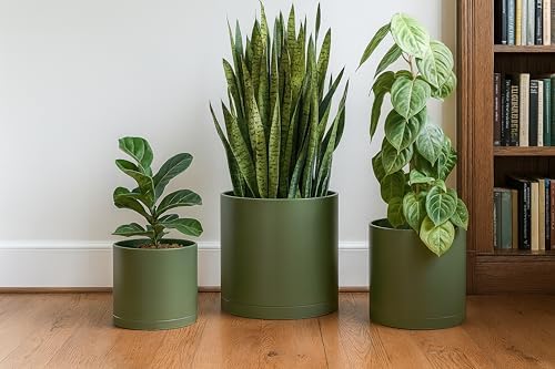 D'vine Dev 3-Pack Plastic Pots & Saucers, 10/12/14 in, Olive, 74-V-I-6 - Image 6