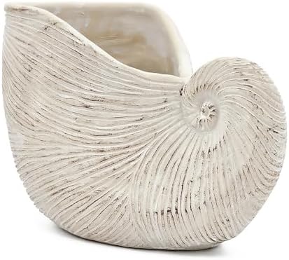Nautilus Shell Planter, 11.5 Inch, Textured Beige Finish - Image 3