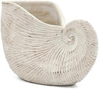 Nautilus Shell Planter, 11.5 Inch, Textured Beige Finish - Image 3