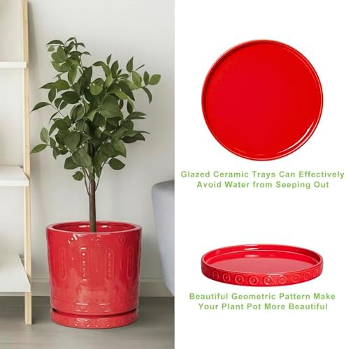 Eightpot Plant Drip Trays 9.3 Inch, Ceramic Plant Saucer, Plant Saucers for Indoorss Outdoors, Round Plants Plates to Catch Water, Modern Plant Pot Tray, Decorative Plants Dishes to Catch Water, Red - Image 5