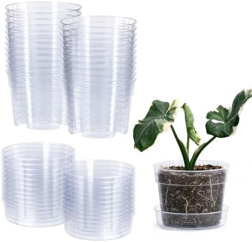 6 Inch Clear Plastic Plant Pot with Drainage Holes, Interlocking & Detachable Tray - Deep Saucer - Durable BPA-Free Plastic, Transparent Design, Raised Base for Airflow, Set of 24, 92-X-C-4 by Phoenix+Vine