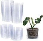6 Inch Clear Plastic Plant Pot with Drainage Holes, Interlocking & Detachable Tray - Deep Saucer - Durable BPA-Free Plastic, Transparent Design, Raised Base for Airflow, Set of 24, 92-X-C-4 by Phoenix+Vine