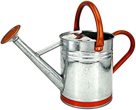 Metal Watering Can for Outdoor Plants, Galvanized Steel Watering Can with Removable spout, 1 Gallon,Perfect Home & Garden Décor Retro Zinc Hue by Lechloris