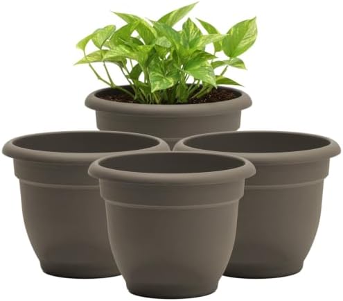 Bloem Ariana 10" Plastic Self-Watering Planter, Peppercorn, 4-Pack by Bloem