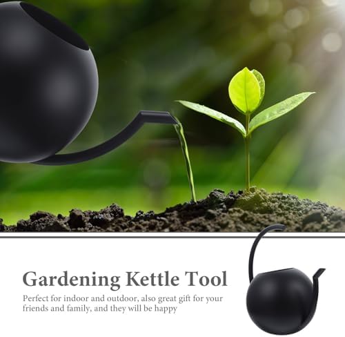 Stainless Steel Watering Can with Thin Spout, 1l Black - Image 5