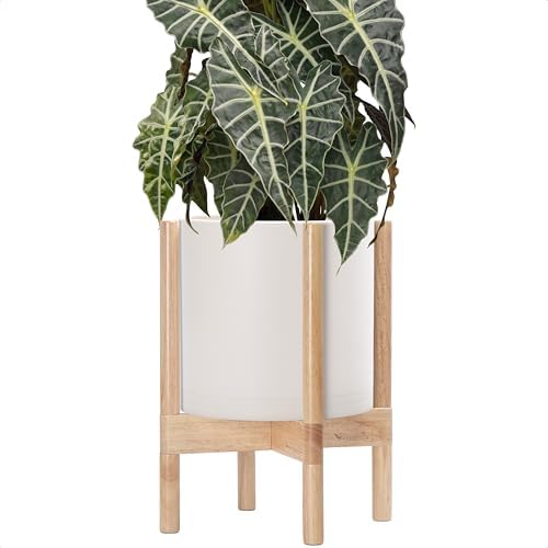 D'vine Dev Plastic Pot with Natural Wood Stand, Oatmeal, 10 in, 55-C-M-4 by DvineDevPlanterPotsandStand