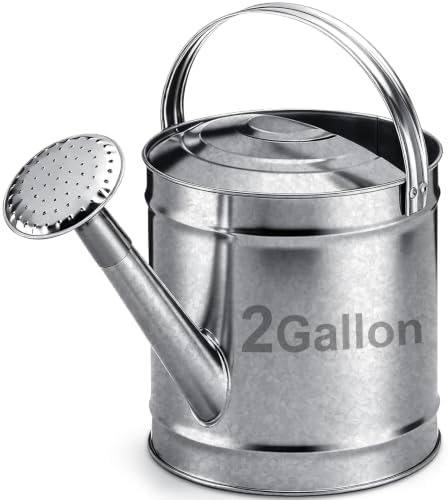 Geetery 2 Gallon Galvanized Metal Watering Can, Removable Spout,Silver by Geetery