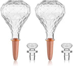 12 oz Plant Watering Globes, Clear Glass Self Watering Bulbs Top Fill with Terracotta Spikes Stake, Self Watering Planter Insert Vacation Automatic Plant Waterer Device for Indoor & Outdoor 2Pack by Unknown