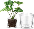 Sheer Glass Pot Planter with Drainage Holes & Tray - Decorative & Modern for All House Plants (4 & 6 Inches) by SheerPots