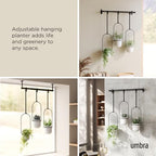 Umbra Triflora Hanging Planter, Indoor Herb Garden, Set of 3, White/Black - Image 4