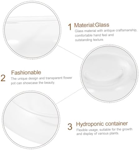 BESPORTBLE Glass Plant Pot Water Container for Flowers and Green Plants - Image 5