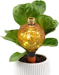 SAVENNA Crackle Glass Plant Watering Globe with Terracotta Spike,Self-Watering Irrigation for Potted Plants, with Solar Accent Light for Indoor & Outdoor Décor, 17oz, Yellow–Pink Gradient by SAVENNA