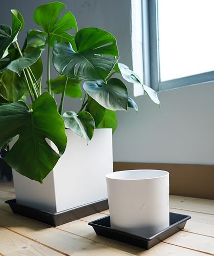 NIMYAU Square Plant Saucer 16 Inch 2 Pack 10 14 16 18 20 Plant Trays for Pots Heavy Duty Plastic Plant Saucers for Indoors Outdoors, Flower Pot No Holes Plant Drip Trays - Image 4