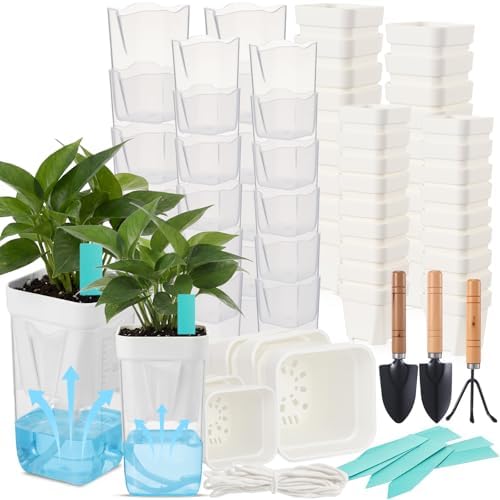 30 Pack 2" 2.5" Small Self Watering Pots for Indoor Plants Clear Mini Self Watering Plant Pot with Water Level Drainage Holes 30 Plastic Label 3 Planting Tools Rope for Propagation Succulent by RimCereal