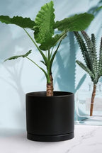 Yukfona Ceramic Plant Saucer Tray 1 Pcs 10 Inch Black, 10.83" OD x10.24 ID x1.1 Deep| Fits Flower pots Bottom≤ 10.24", Heavy Duty Glazed Round Planter Drip with Catch Basin for Indoor Outdoor Plants - Image 6