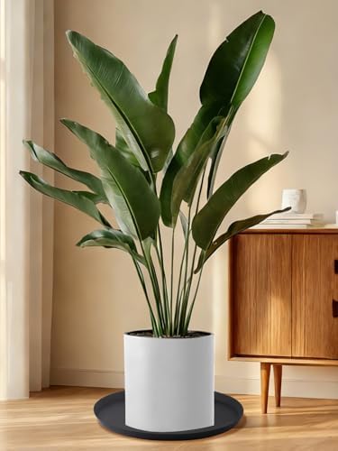 Kalolary 25 Inch Plant Saucer for Potted Plant Silicone Plant Trays - Image 4