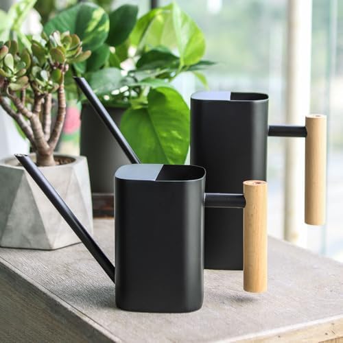 Black Watering Can, 1L/35oz for Indoor Plants - Image 3