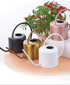 TITA-DONG 1.3L Watering Can for Indoor Plants,Long Spout Stainless Steel Plant Watering Can Copper Colored Watering Can for Indoor Potted Plant, Outdoor Indoor Garden, Plants - Image 5